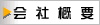 ЊTv